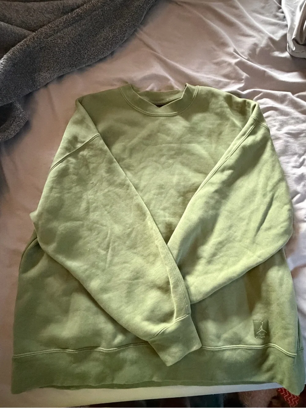 Jordan Crewneck Sweatshirt in Light Green